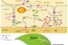 RNA-Based Technology for Plant Virus Protection