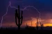 Soil Moisture as an Indicator for Thunderstorm Prediction