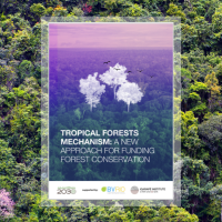 Tropical Forest Forever Facility (TFFF)