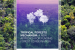 Tropical Forest Forever Facility (TFFF)