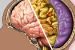 WHO Guidelines on Meningitis Diagnosis and Treatment