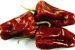 Warangal Chapata Chilli gets GI Tag