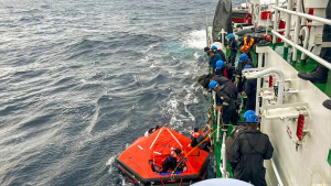 केरल तट पर प्लास्टिक नर्डल्स का संकट: MSC ELSA 3 जहाज डूबने के बाद समुद्री प्रदूषण की गंभीर चेतावनी