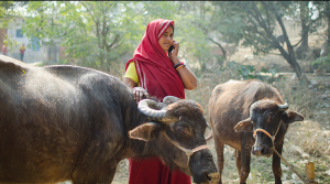 ग्रामीण भारत में महिलाओं की मोबाइल स्वामित्व में लैंगिक असमानता: एक चिंताजनक तस्वीर