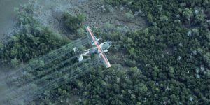 Agent Orange