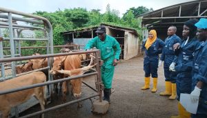 Antimicrobial Resistance and Animal Health in 2025