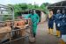 Antimicrobial Resistance and Animal Health in 2025
