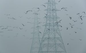 Blackout Measures in India