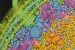 Climate Change and Human Gut Microbiota Disruption