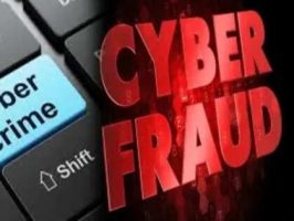 Financial Fraud Risk Indicator