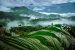 Globally Important Agricultural Heritage Systems