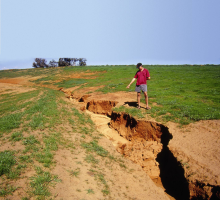 Gully Erosion