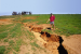 Gully Erosion