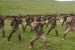 India-Mongolia Joint Military Exercise Nomadic Elephant