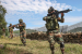 Integrated Theatre Commands
