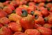 Mango Production Trends Amid Climate Change Challenges