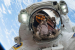 Microgravity’s Impact on Human Thermoregulation