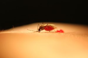New Malaria Control Compounds