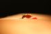 New Malaria Control Compounds