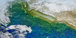 New Methods to Measure Ocean Carbon Export