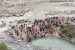 Pushkar Kumbh Mela