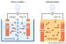 Solid-State Battery