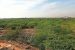 Supreme Court Action on Morphological Ridge Violations