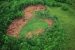 Tropical Rainforest Loss Hits Record Levels in 2024