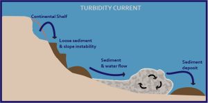 Turbidity Currents