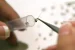 West Nile Virus Detected in UK Mosquitoes