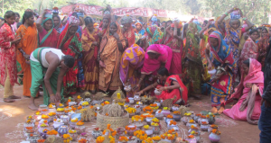 ‘बीज उत्सव’ से आदिवासी क्षेत्रों में जैव विविधता और बीज संप्रभुता की वापसी