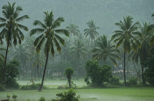 क्यों केरल में सबसे पहले आता है मानसून? जानिए इस मौसम रहस्य का वैज्ञानिक कारण