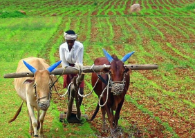 भारत-अफ्रीका कृषि सहयोग: खाद्य सुरक्षा और सतत विकास की ओर एक साझा प्रयास