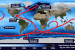Atlantic Meridional Overturning Circulation Collapse