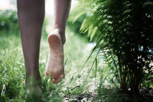 Forest Rights Act Implementation and New Initiatives