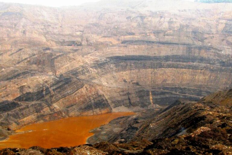 Fossil Discovery in Makum Coalfield