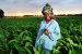 India-Africa Partnership in Agriculture and Food Security