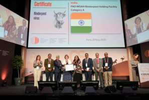 India Recognised as Rinderpest Holding Facility