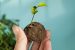 Kerala’s Vithoot Afforestation Programme