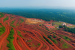 Lloyds Metals Expands Iron Ore Mining in Maharashtra