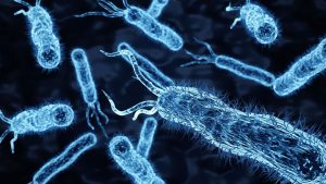 Nanoplastics and Their Impact on Pathogen Virulence