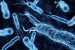 Nanoplastics and Their Impact on Pathogen Virulence