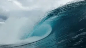 Ocean Darkening