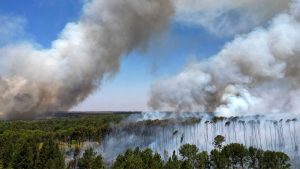 Record Forest Fires in Brazil Due to Climate Change