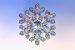 Snowflake Yeast Reveals Into Multicellularity
