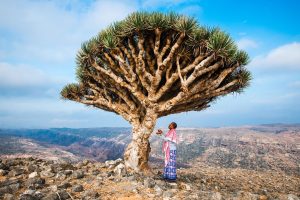 Socotra Island