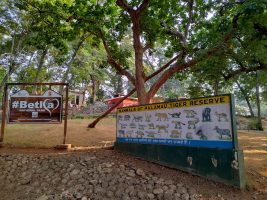 Tiger Safari Initiative in Jharkhand’s Barwadih Forest