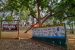 Tiger Safari Initiative in Jharkhand’s Barwadih Forest