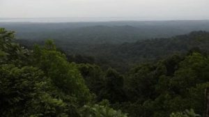Zudpi Jungle Lands