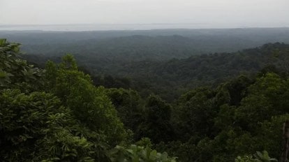 Zudpi Jungle Lands